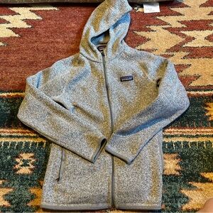 Patagonia Better Sweater Fleece Hoodie